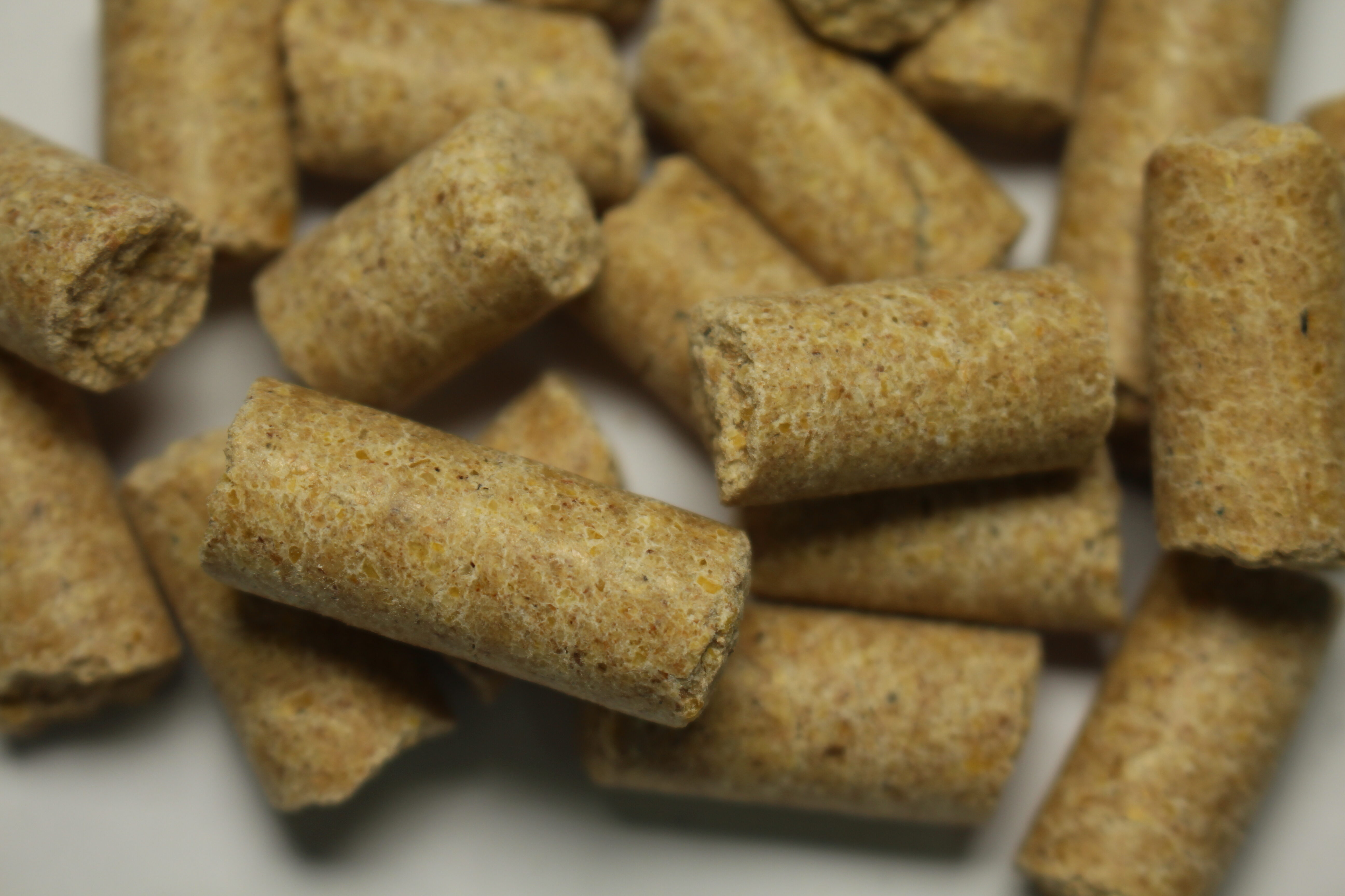SY10003 实验鼠生长、繁殖期全价饲料（国标）